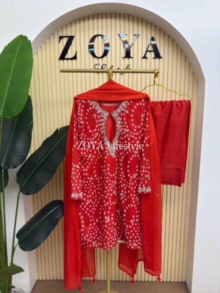 Pakistani inspired 3 piece farshi kamiz Set